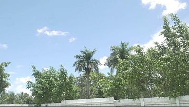 Two White Sluts Give Their Black Neighbor A Soul sucking BJ