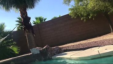 Blowjob in the Pool
